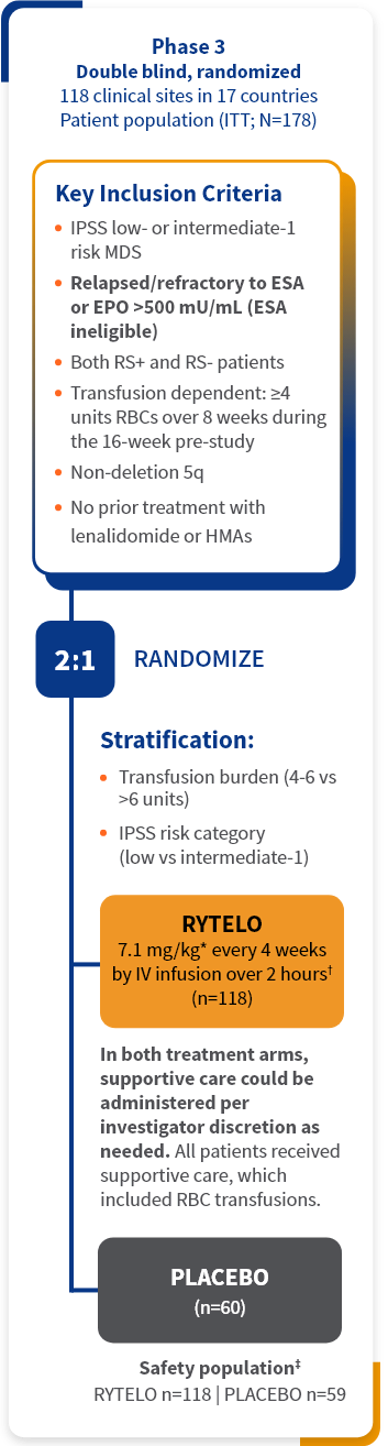 Graphic of the IMerge phase 3 clinical trial design.